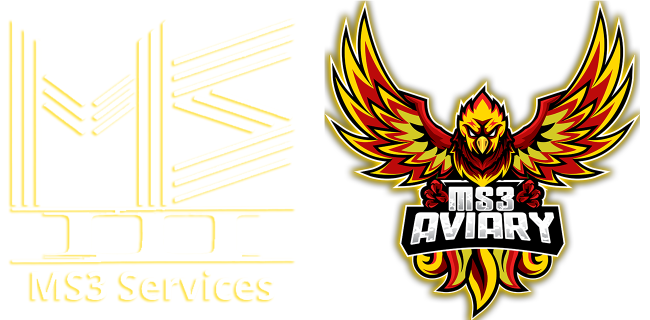 MS3 Services LTD